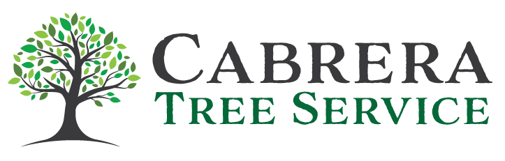 Cabrera_TreeServiceLogo